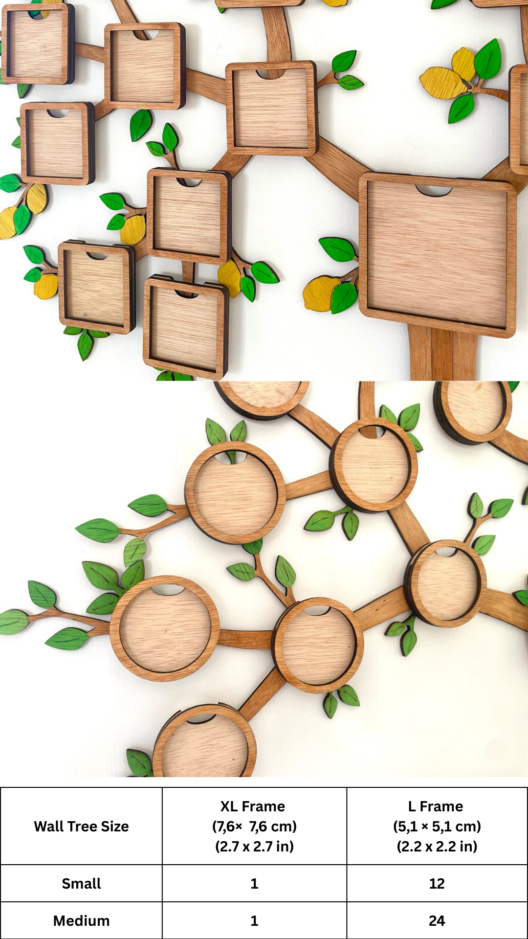 Magnetic Photo Frame Set – 12 + 1 XL / 24+1 XL – Square or Round – Upgrade your Branching Family Tree