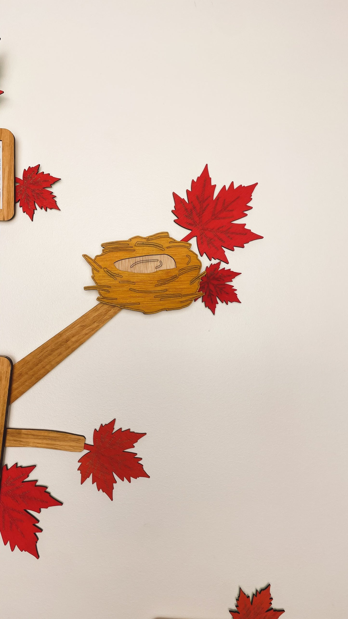 Knot Cover - Magnetic Decorative element for Branching Families Wall Tree – Squirrel, Angel, Bird Nest or Wood Knot – Light or Dark Wood