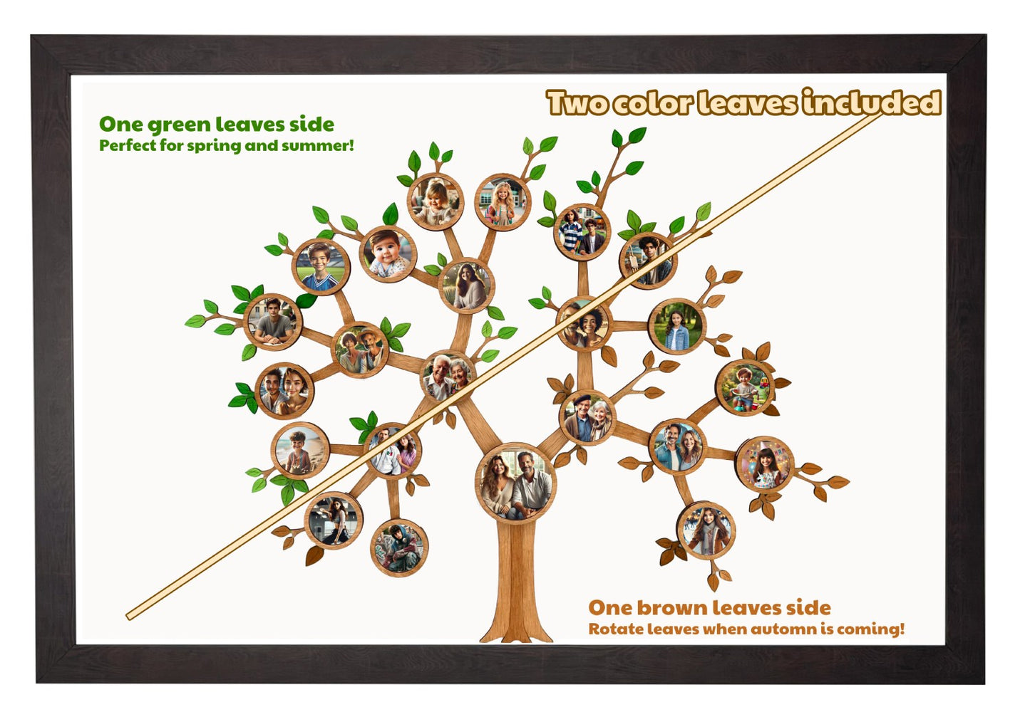 Framed Family Tree