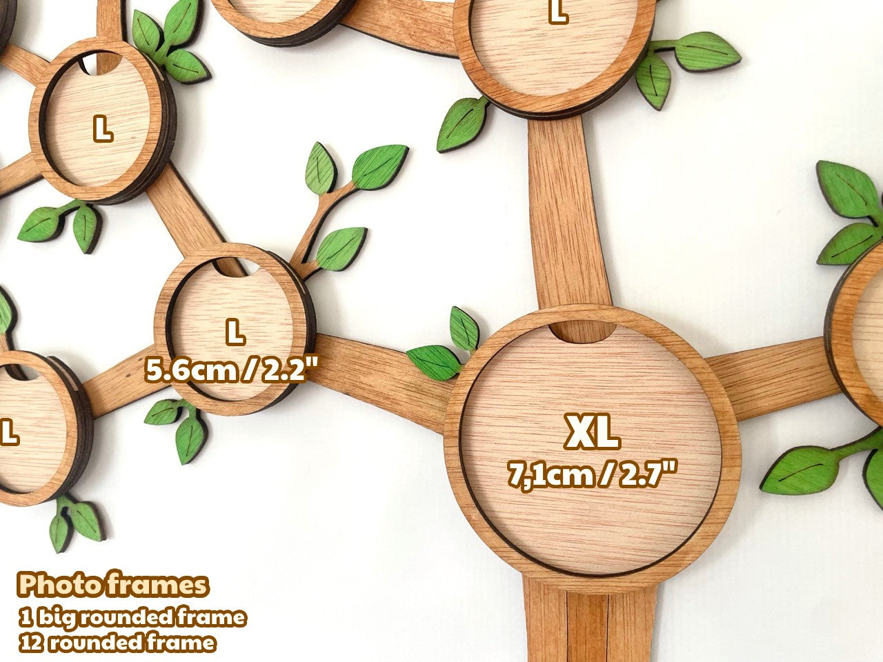 Magnetic Photo Frame Set – 12 + 1 XL / 24+1 XL – Square or Round – Upgrade your Branching Family Tree