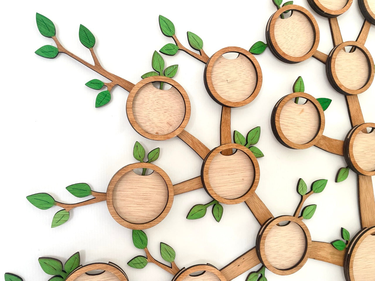 Framed Family Tree