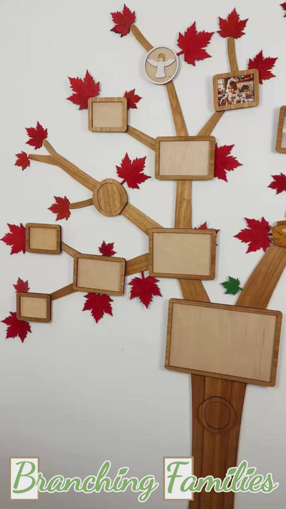 Magnetic Photo Frame Set for Wall Tree